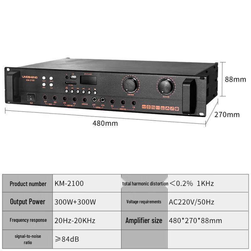 Lingsheng Home Karaoke System with Integrated Amplifier CN plug (adapter included)