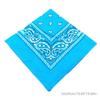 Fashion Unisex Bandana Hip Hop Square Scarf Paisley Patterned Headband Modern Headscarf Multipurpose Hair Gifts