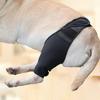 Joints Breathable Mesh Dog Leg Assist Fixed Protective Gear Anti-Lick Wound Dog Thigh Protector