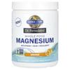 Dr. Formulated, Whole Foods Magnesium Powder, Orange, 419.5g (14.8oz)