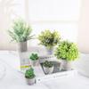Simulation Green Plant Succulent Pulp Pot Set Simulation Eucalyptus Leaf Green Tea Leaf Potted Plant Home Decoration Supermarket Decoration