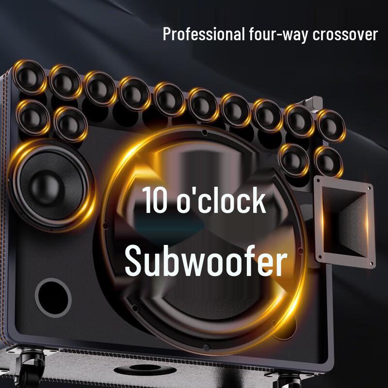 Sansui Singer Q109P Portable KTV Speaker