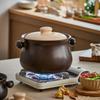Bear Multi-function Ceramic Stew Pot