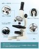 Microscope Elementary School Children Microscope Set Junior High School High School Biological Microscope Instruction Manual High Magnification