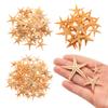 Decoration DIY Crafts Mixed Starfish-Natural Handmade Accessories Seashells Starfish Ocean Decor