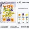 Maifeng Pressed Flower Art Pack: Dried Flower Material and Real Plant Specimens.