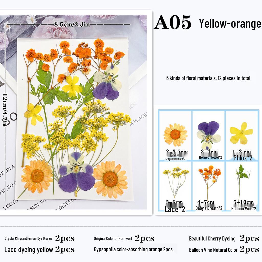 Maifeng Pressed Flower Art Pack: Dried Flower Material and Real Plant Specimens.