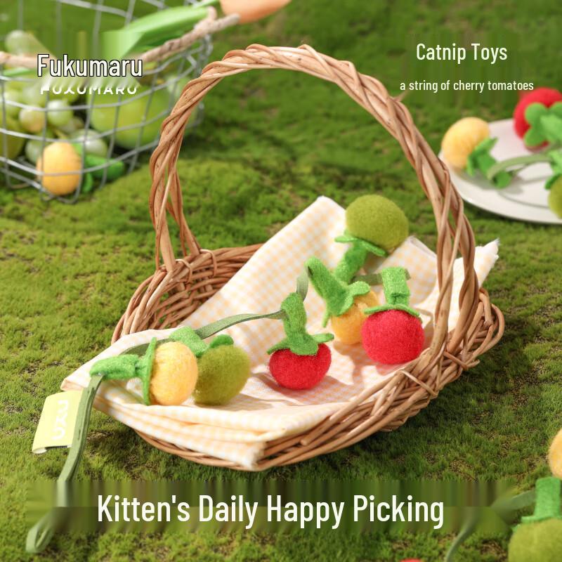 Catnip Teaser Toy with Bell