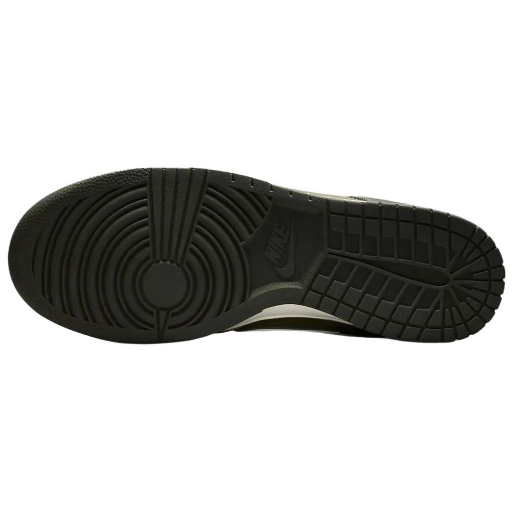 Nike Dunk Low Retro HF5441-203