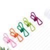 20 Pcs Clothes Drying Securing Clips Stainless Steel Multi Colors Chip Clips High Strength Food Package Clamps Clothes Pins Photo Pendant Clips