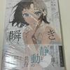 [USED] Limited Price Reduction! Anekawa Art Book Blink