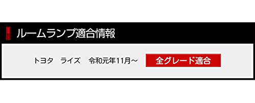 ВАШ (Ваш) Комплект светодиодных ламп для салона RAIZE эксклюзивного дизайна [Базовый комплект/Белый] Функция регулировки интенсивности света RAIZE Внутреннее освещение Светодиодный автомобиль Мо