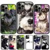 Миниатюрный шнауцер щенок собака Чехол для телефона для iPhone 17 Air 15 16 14 13 12 Pro Max 11 Pro Max Plus Coque