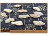 Natural Unsulfured Frankincense Beads, Myrrh with Chuanxiong Danshen Frankincense Powder
