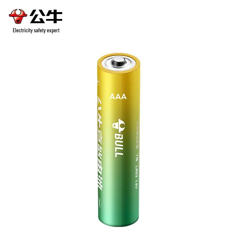 BULL AAA Alkaline Batteries CN plug (adapter included)