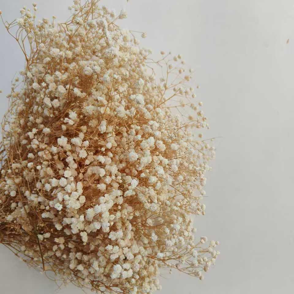 Luxury Gypsophila Preserved Dried Flower Bouquet - Everlasting Decor for Living Room