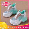 Summer Breathable Hollow New Versatile Ultra-light Platform Leisure Sports Mesh Dad Shoes Women