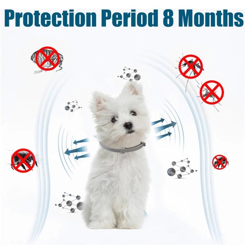 Ошейник Bayer Seresto от блох и клещей для крупных собак, маленьких собак весом более 18 фунтов, защита на 8 месяцев