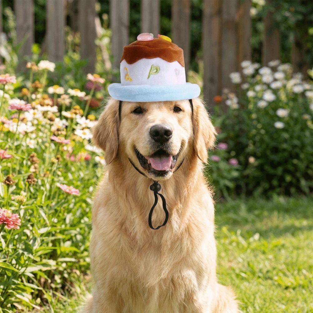 Colorful Simulated Cake Dog Hat Soft Dog Party Hat Cute Birthday Cake Hat Birthday Party