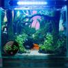 Электрический термометр Fishtanks с точным/градусным дисплеем для аквариумов, датчик контроля температуры для мест обитания рыб