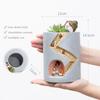 Creative Animal Resin Flower Pot Succulents Planter Water Planting Container Rabbit Hedgehog Decorative Pot Desktop Ornament