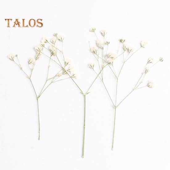 Сушёные цветы для рукоделия 12шт