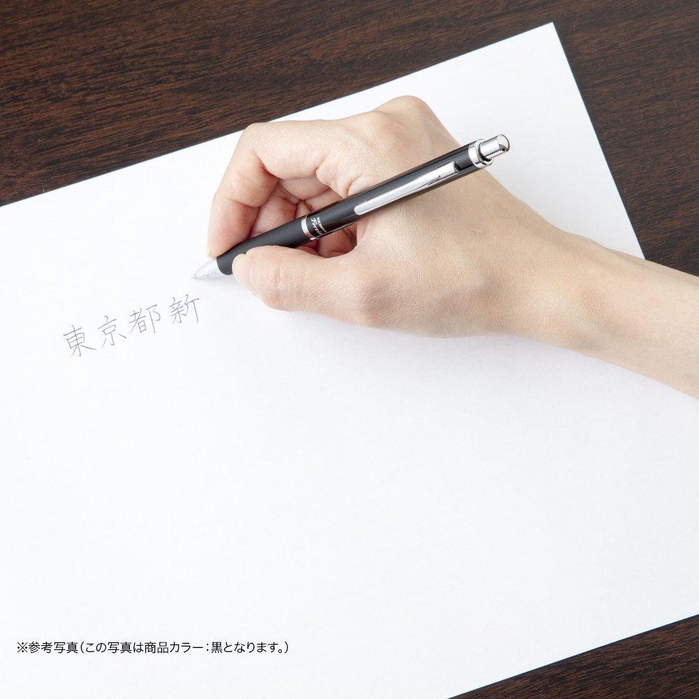 Шариковая ручка Zebra Fortia 300 10 масляных ручек, серебристая, ручки, B-BA80-S