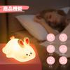 Милая ночная лампа с регулируемой яркостью Kawaii Rabbit Lamp Touch Rechargeable 30 Minutas Auto Off Funny Day Birthday Gift for Women Teen Girls Boys Baby Kids Portable
