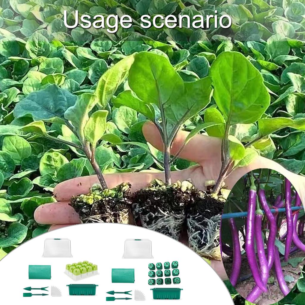 Набор поддонов для проращивания рассады, комнатная теплица, ящик для выращивания растений для домашнего использования, ящик для размножения с прозрачной крышкой