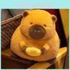 Adorable Cartoon Capybara Plush Toy For Girls Perfect For Living Room Decoration
