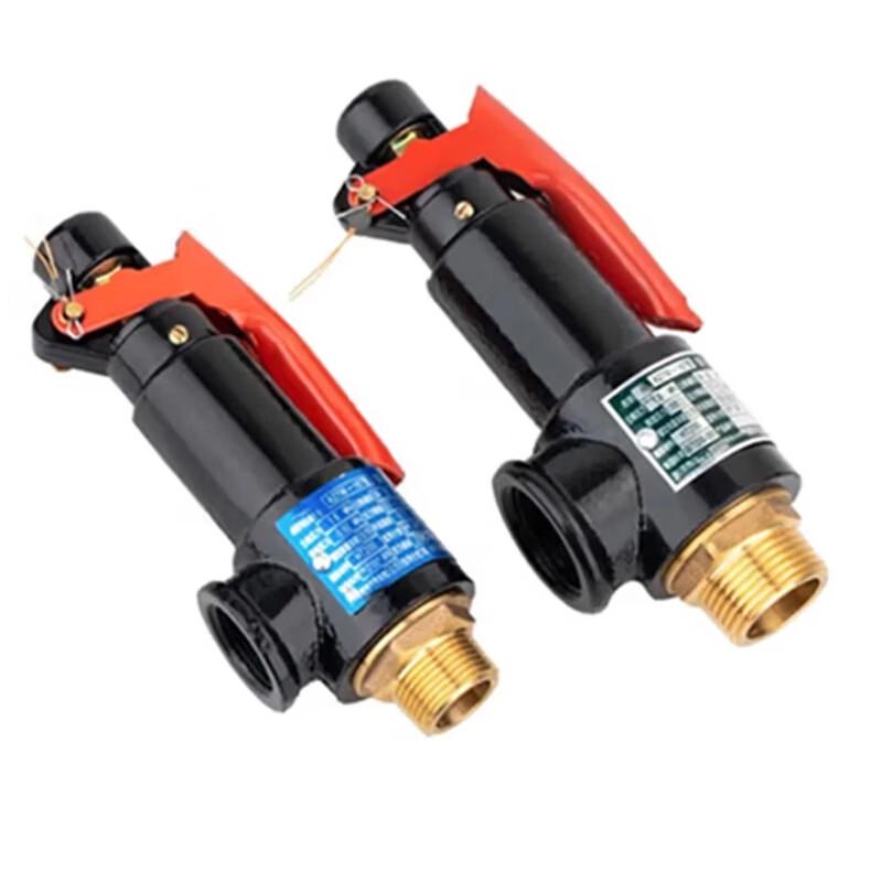 Gemaron SA48Y-100I Cast Iron Safety Valve