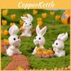 Adorable Carrot Rabbit House Mini Garden Resin Figurine Craft Accessory