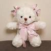 Cute White Bear Doll Korean Version of Rag Doll Teddy Bear Plush Doll Girlfriend Bestie Gift