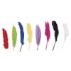 Goose Feather, Color, 16 - 20 Cm, 8 Pcs