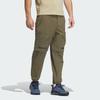 adidas Terrex outdoor trousers 'Olive Green' Men's IC1974