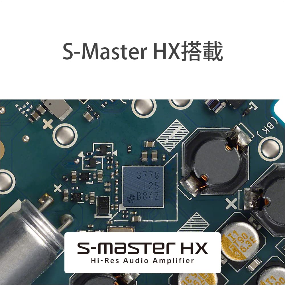 Sony Walkman 64GB ZX Series Streaming Remastering Engine To 25 Hours of Continuous Inch Touch Balanced Connection Equipped with DAC Reality Audio