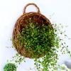 Flower Planter Wall Hanging Wicker Rattam Basket Garden Vine Pot Plants Holder Wicker Basket Nest Flower Pot Home Decoration