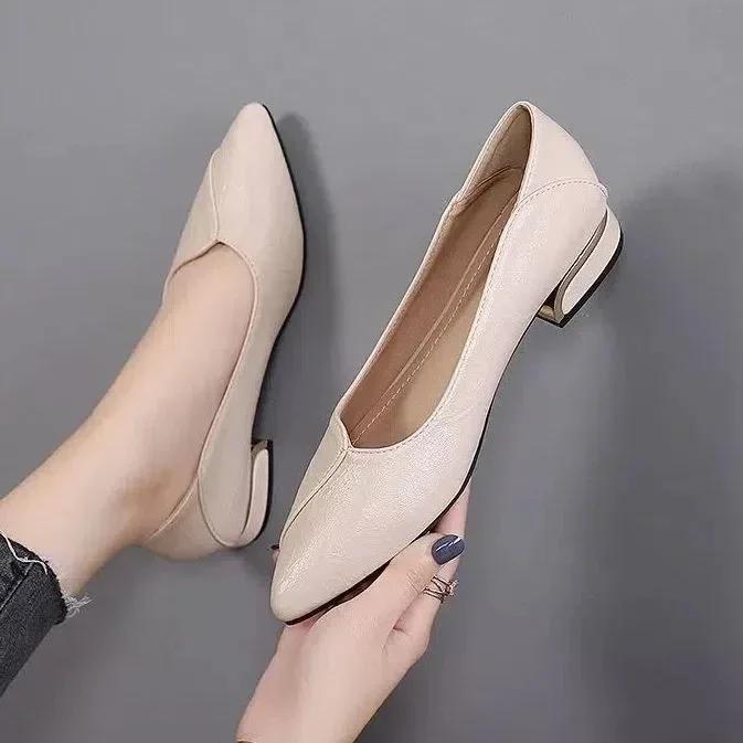 2024 Spring and Fall New Mid-heel Pointed Work Shoes Casual Women's Shoes