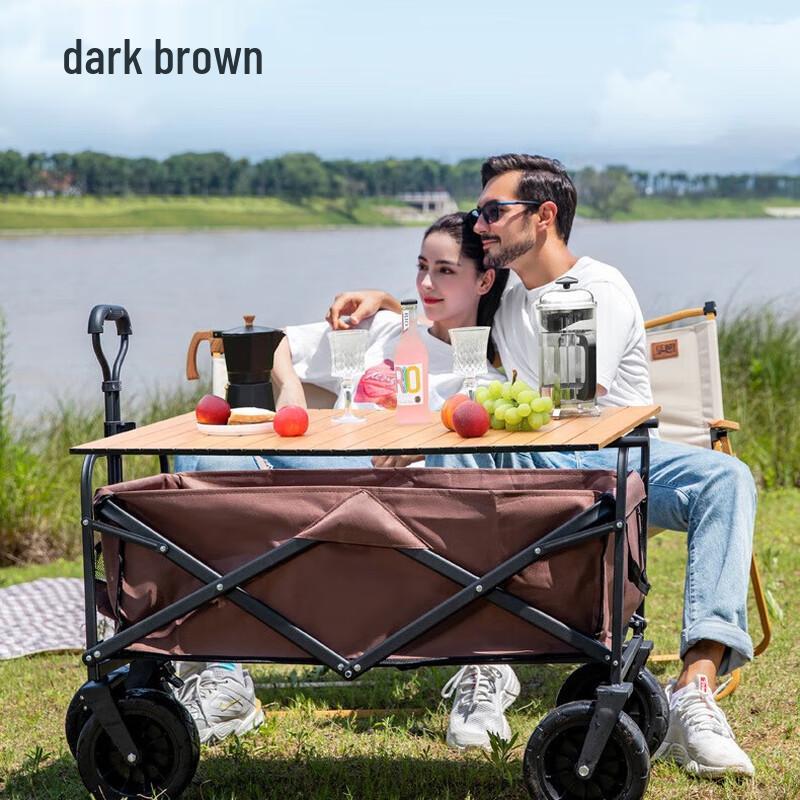 Outdoor Folding Camping Cart