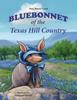 Книга Bluebonnet of the Texas Hill Country