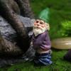 1 Set Personality Garden Decoration Dwarfs Resin Crafts Micro Landscape Scene Set Decoration