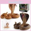 Realistic Pvc Cobra Model Snake For Home Decor With Vibrant Colors And Detailed Features