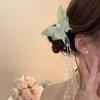 Fairy Butterfly Tassel Claw Clip – Transparent White Mori Style Hair Accessory