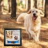 Dog Cats Memorial Frame Best Friend Come Into Out Lives 9x9Inch Photo Picture Frame with Collar Holder Sympathy Gift