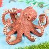 Модель морского животного: Образовательная игрушка «Осьминог и кальмар» для детей