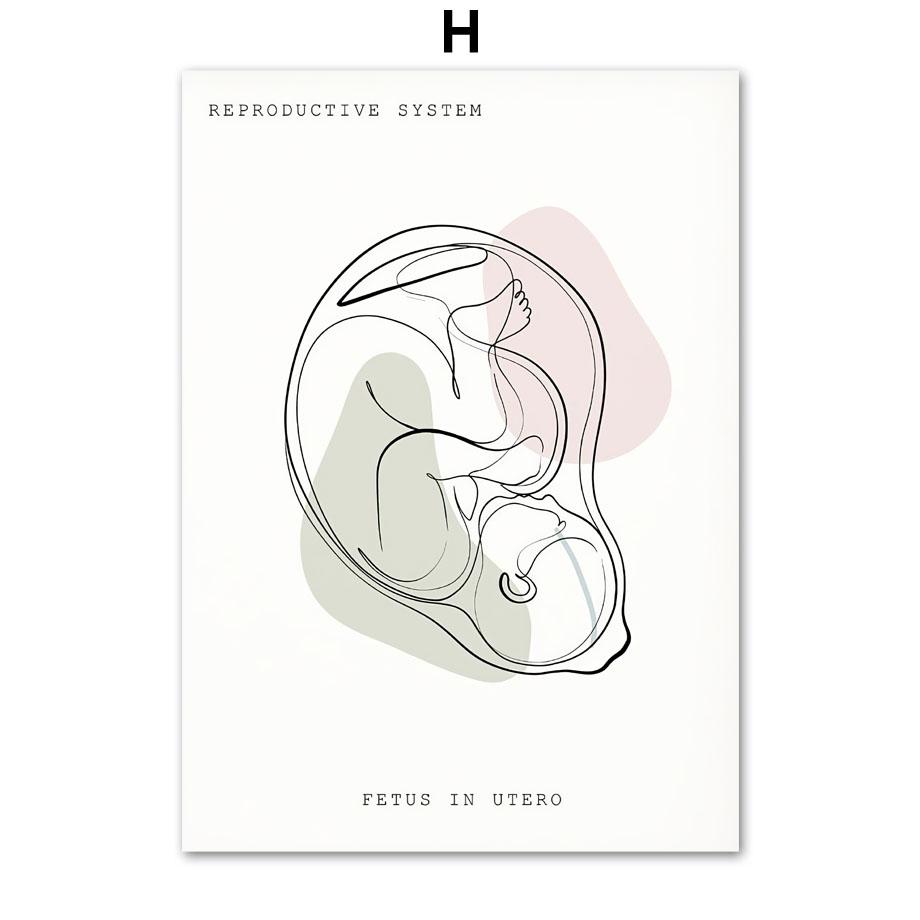 Минималистичный Красочный Анатомический Линия, медицинский плакат и принты, настенное искусство, ухо, гортань, сердце, холст, картина, доктор, подарок, декор для клиники