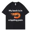 Funny My Back Is In Crippling Pain Shrimp Meme T Shirt High Quality Fashion T-shirt Men Women Casual T-shirts