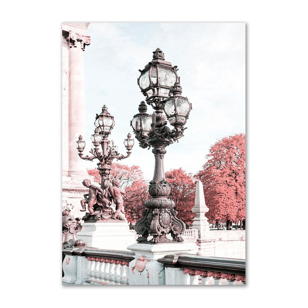 Розовый цветок холст картина настенный постер и принты ретро автомобиль велосипед Парижская башня вид настенные художественные фотографии для декора гостиной