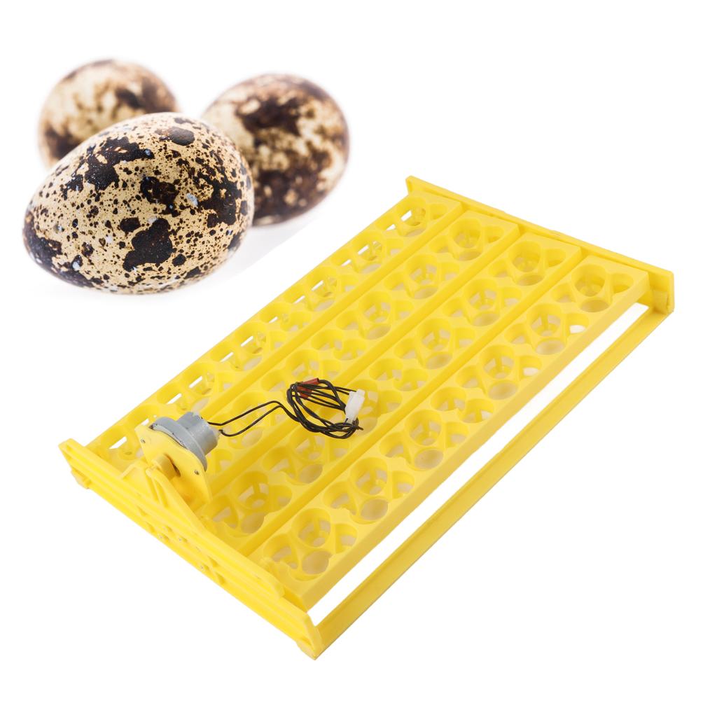 Egg Incubator Egg Tray Small 24 Eggs Four Leaf Flower Automatic Turning Egg Incubator Egg Tray110V