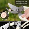 Stainless Steel Scissors Flower Cutting Flower Arrangement Pruning Fruit Tree Garden Branch Cutting Household Grafting 1/2pcs